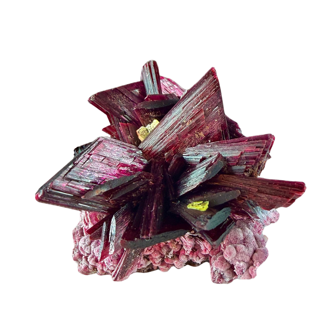 Erythrite with Zunerite